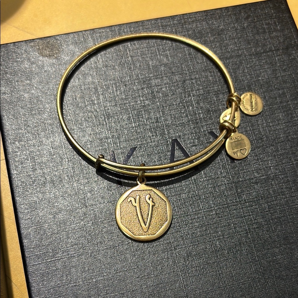Gold V Alex and Ani Charm Bracelet